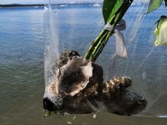 -北戴河东海水浴场