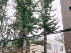 -西安理工大学(金花校区)