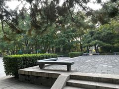 -玲珑塔公园