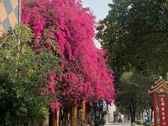 -孔雀湖生态旅游区