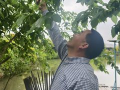 -天下先生态园农庄CS团建露营地(海鸥岛店)