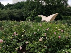 -人民公园(罗湖区)