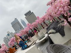 -城市露台景观餐厅(淮海路店)