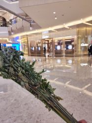 -巍阁高端月子会所