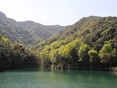-龙坞茶村