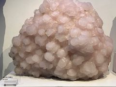 -重庆自然博物馆(新馆)