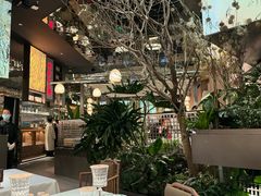 -桂满陇·海市蜃楼·黑金(国金店)