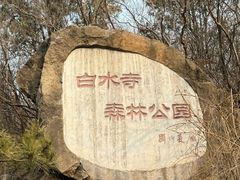 -白水寺森林公园