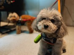 -E+有冰工厂·昆仑寒宫2(五角场店)