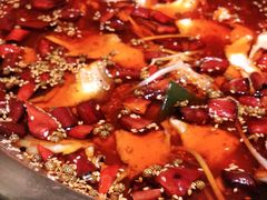 -蜀都丰 川菜·水煮活鱼(万象九宜城店)