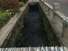 -水香园·中国徽菜名店(紫霞大道店)