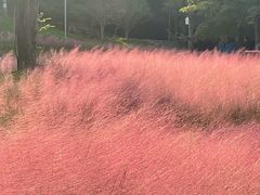 -牛岗山公园