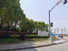 -芦潮港集贸市场