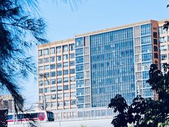 -宝安西湾红树林湿地公园