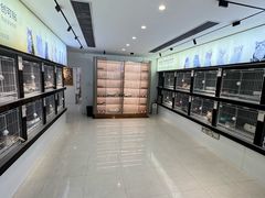 -翊宠yipet猫狗购宠庄园犬舍•猫舍