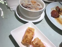 -南枝记