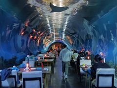 -涛·海底餐厅·美人鱼·自助餐·海底隧道(三亚海棠湾洲际度假酒店)