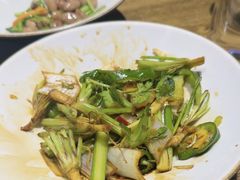 -鸽子窝(青塔店)