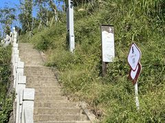 -长沙黑麋峰国家森林公园
