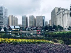 -花果园湿地公园