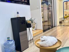 -拜鲁耶动物诊疗中心·宠家动物医院