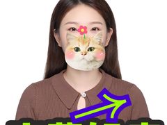-小树照相馆·证件照(打浦桥店)
