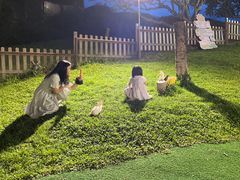-三亚亚龙湾天域度假酒店