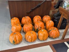 -良友·海鲜青岛菜(五四广场店)