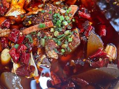 -青城甲(青城山店)