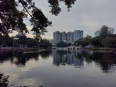 -荔湾湖公园