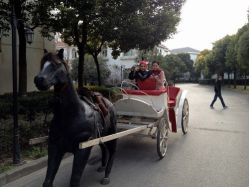 IMG_1301-金庭庄园酒店彩虹厅