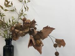 大堂-麻雀咖啡SPARROW COFFEE(十全街店)