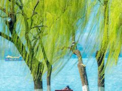 -柳浪闻莺公园