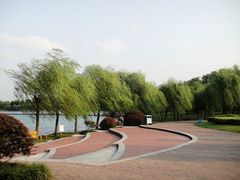-暨阳湖生态园