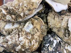 -蚝得喜海鲜(东城店)