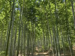 -池州市平天湖风景区