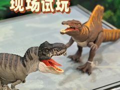 -TOYSRUS玩具反斗城(上海万象城店)