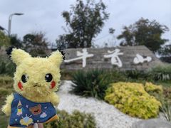 -牛首山文化旅游区