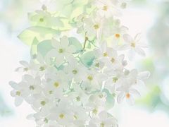 -老板恋上鱼(振华商厦店)