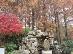 -上海醉白池公园