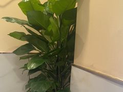 -鼎好家常菜(天桥店)