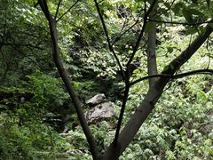 -青峰峡国家森林公园