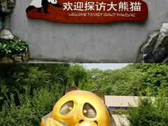 -成都大熊猫繁育研究基地