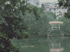 -荔枝公园(福田区)
