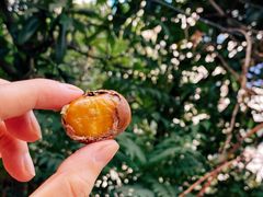 -阿男野栗王(金门路店)