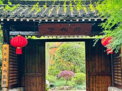 -重庆园博园