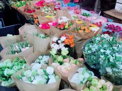 -溪岸路花鸟市场