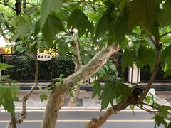 -Ginger(兴国路店)