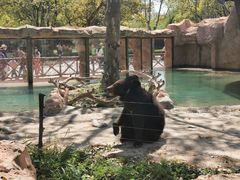-上海野生动物园