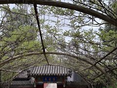 -红螺寺